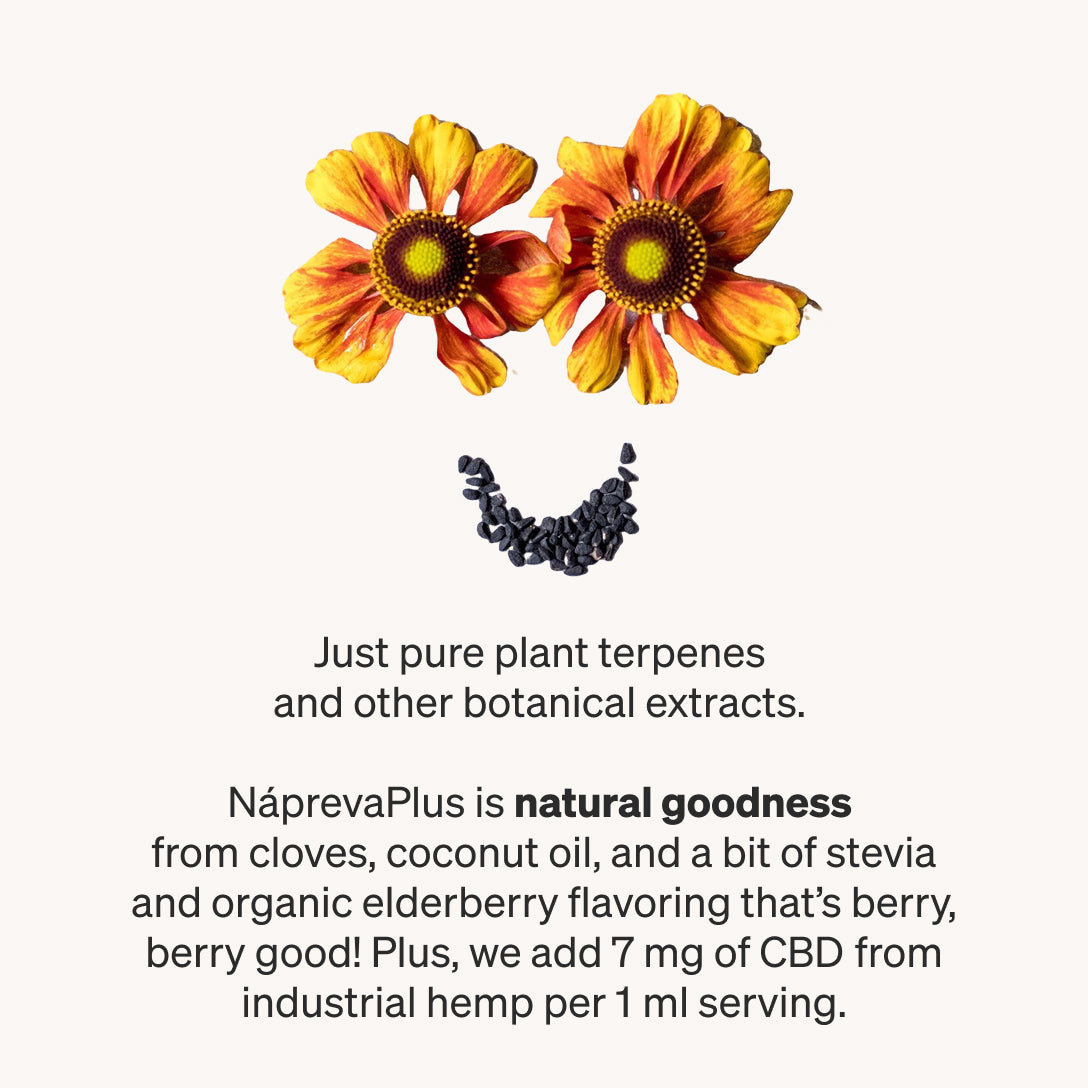 Nápreva Plus - Elderberry