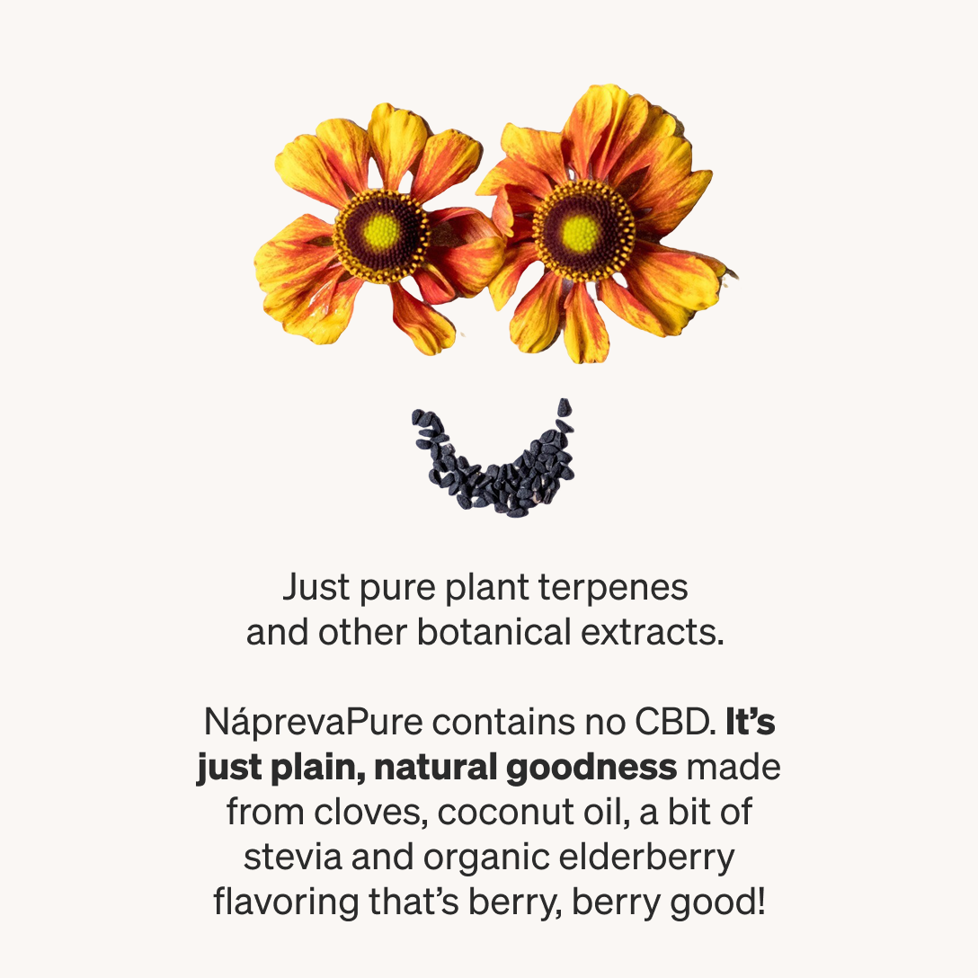 Nápreva Pure - Elderberry