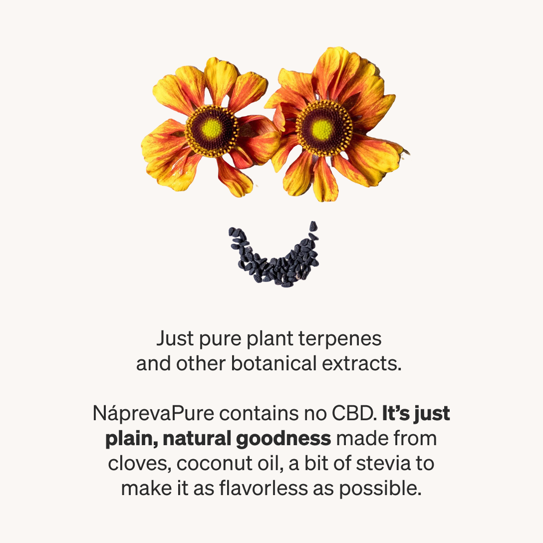 Nápreva Pure - Neutral