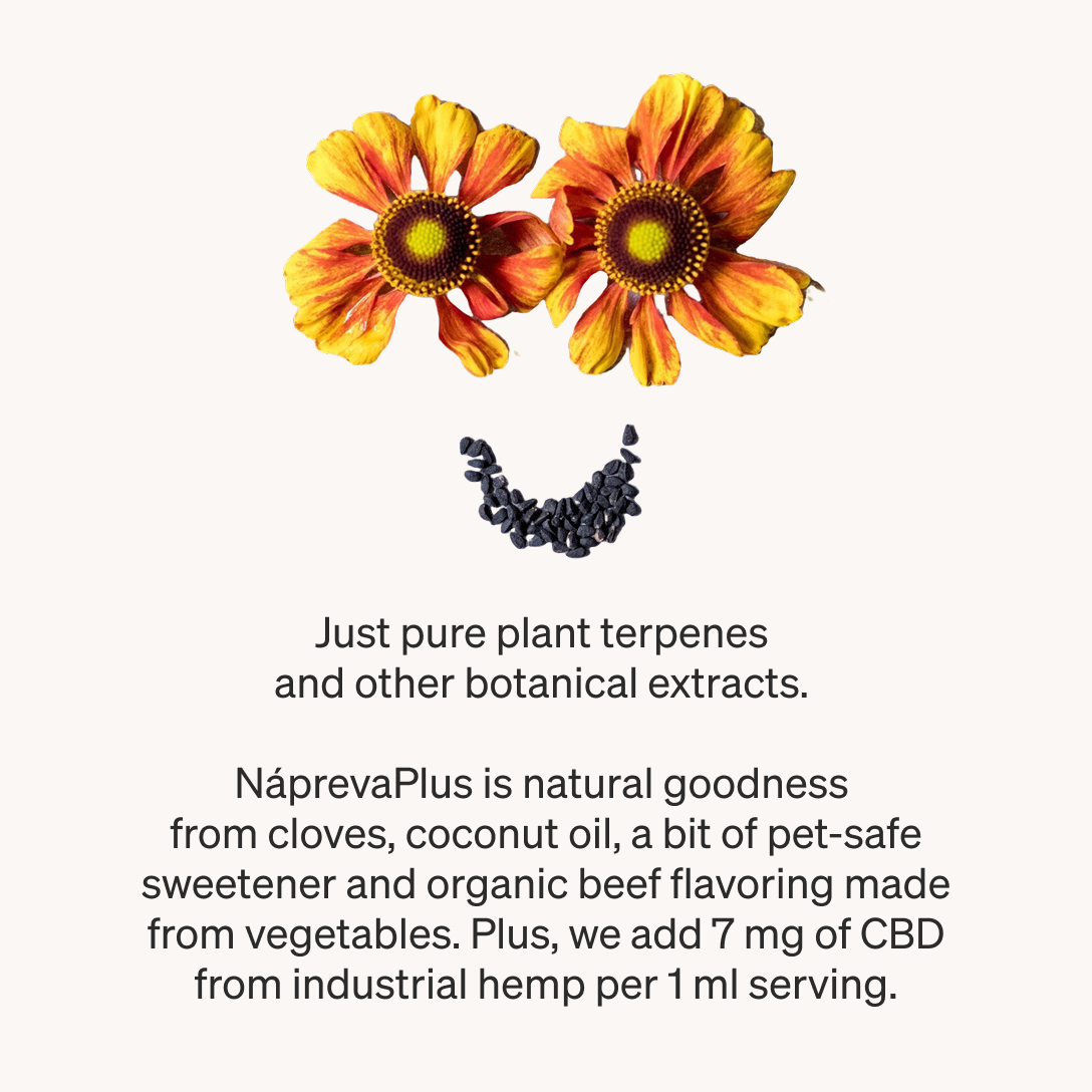 Nápreva Plus for Dogs