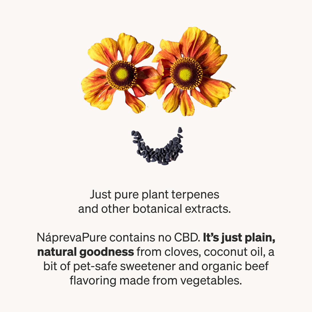 Nápreva Pure for Dogs