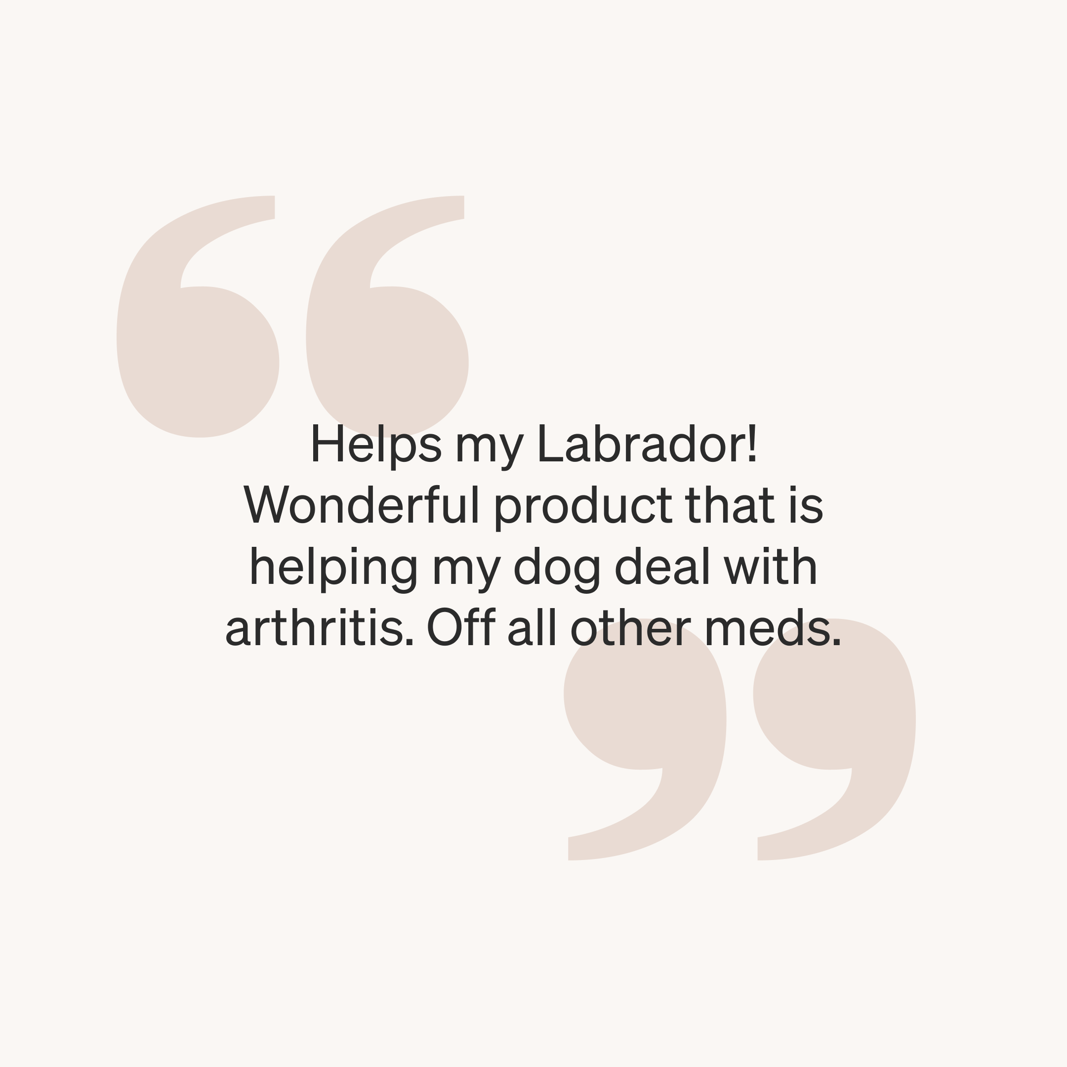 Nápreva Pure for Dogs