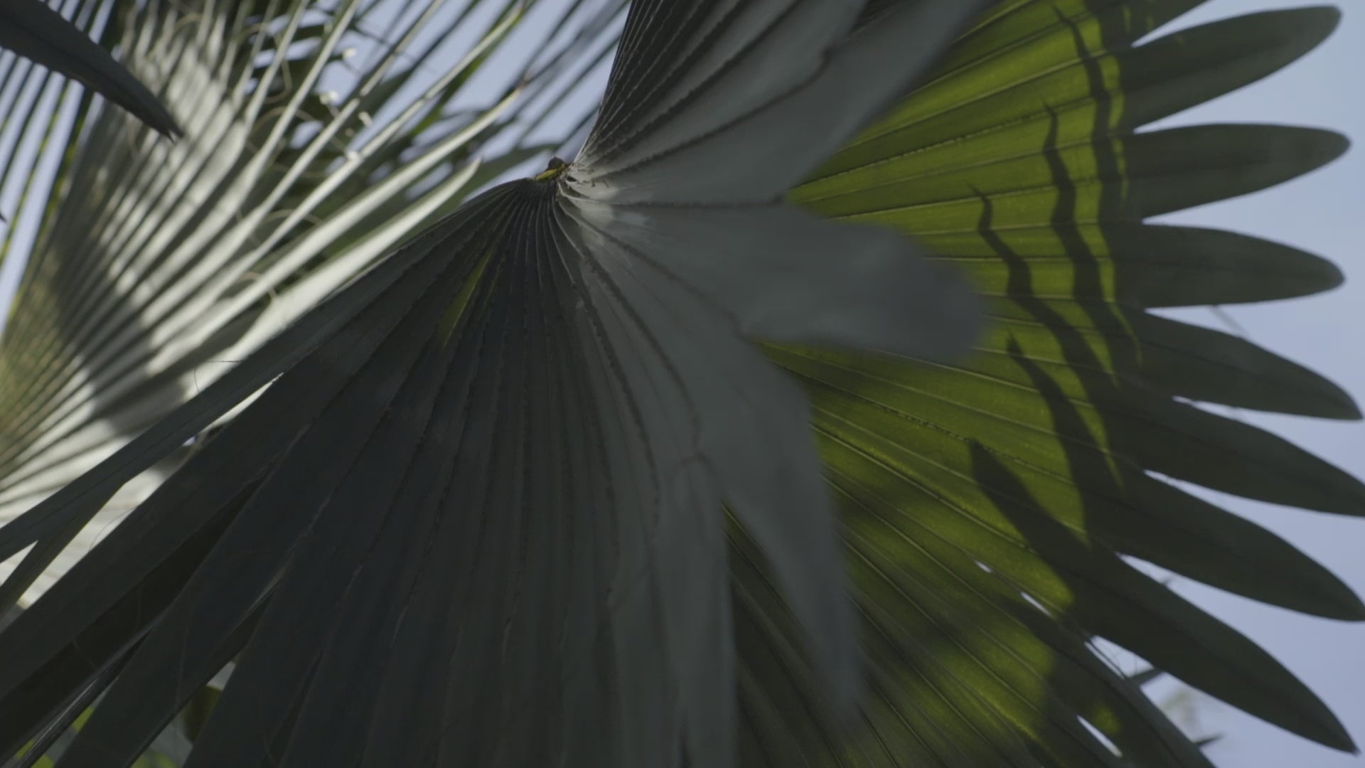 preview-image
