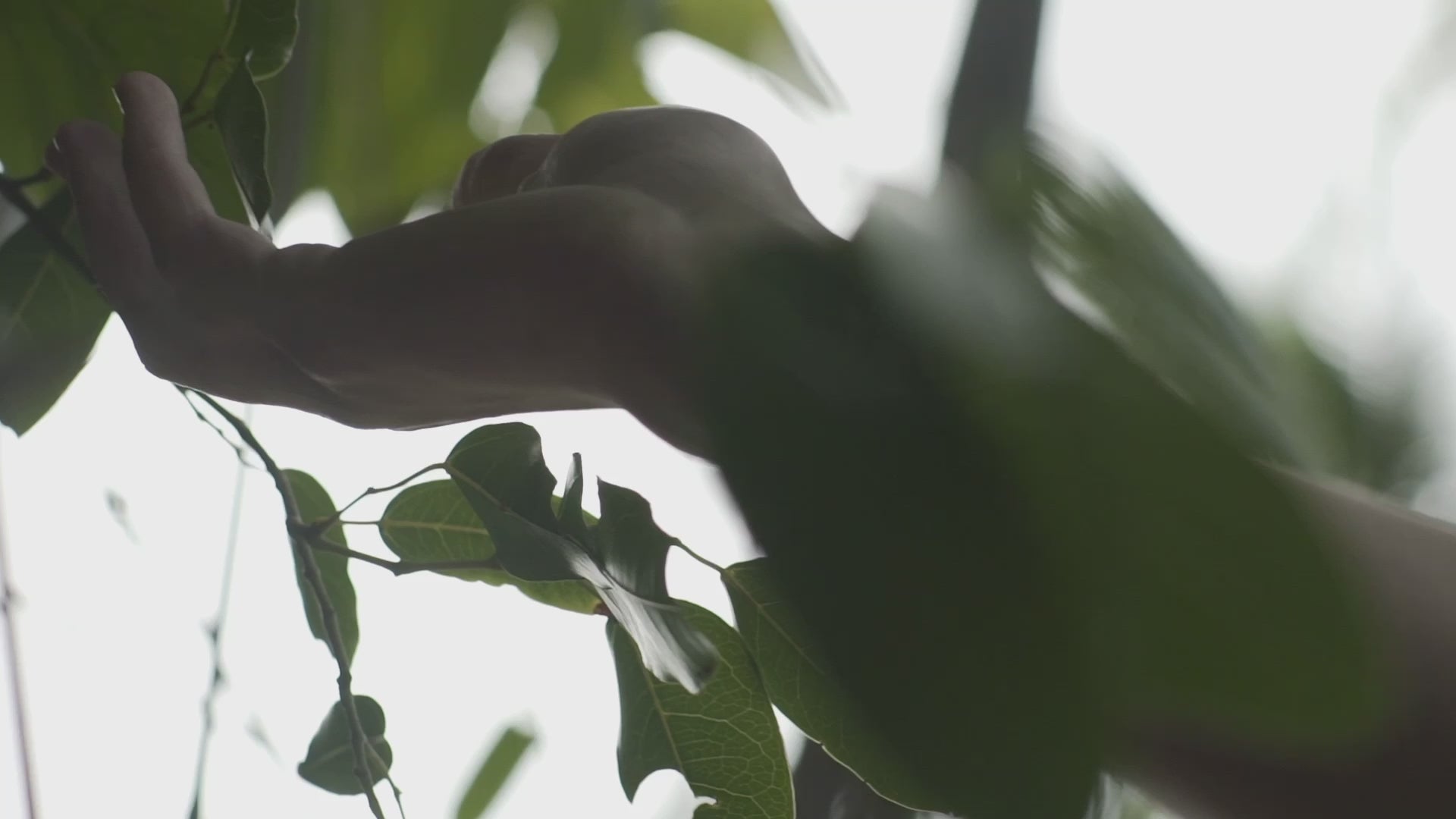 preview-image