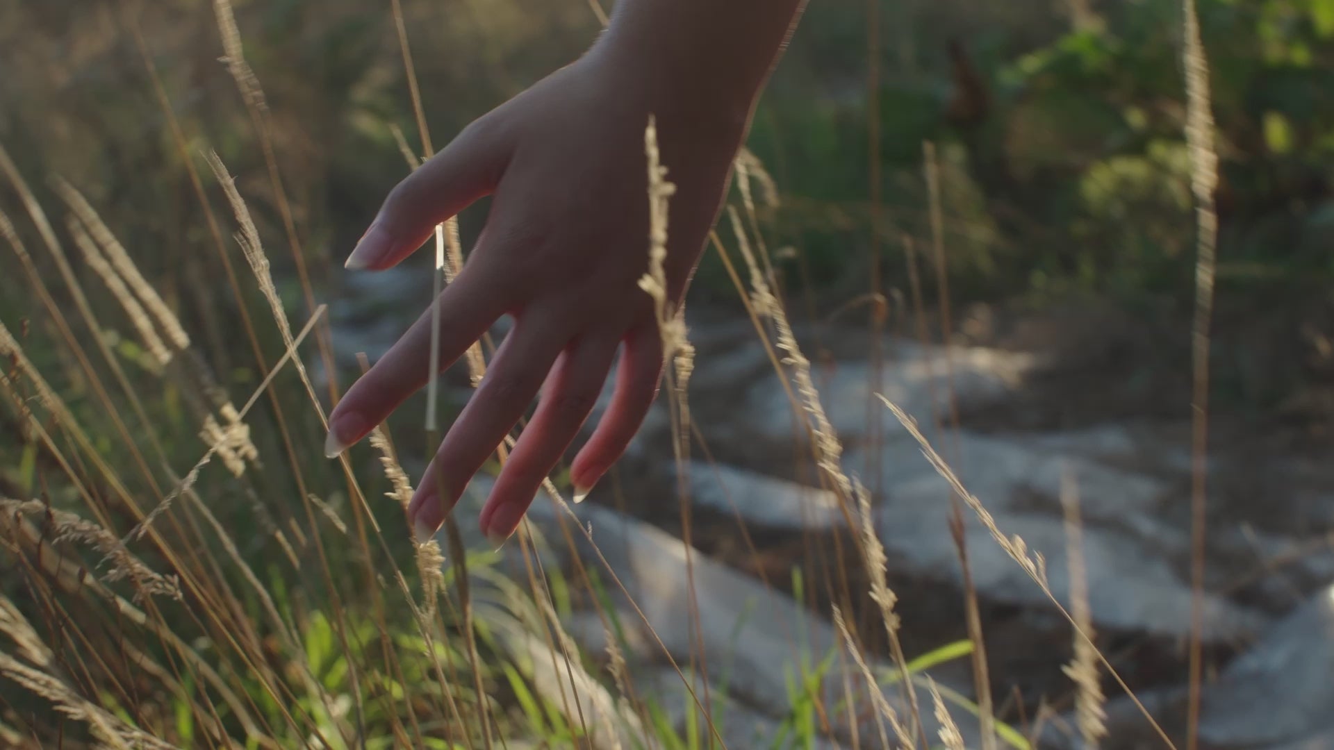 preview-image